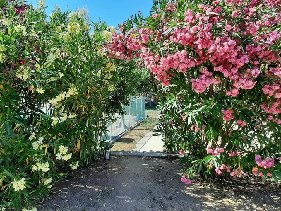 Orasi Sartene Gite Casa Fiurita 外观 照片